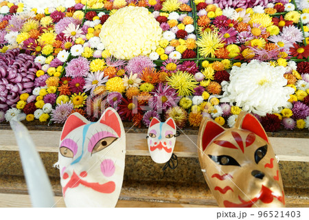 花手水 笠間菊祭り 花手水 笠間菊祭り 96521403