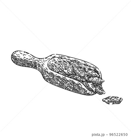 goji dried red sketch hand drawn vector 96522650