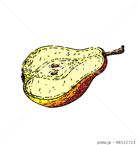 pear cut sketch hand drawn vector 96522723