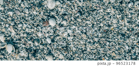 BANNER Close-up seashells on beach sand summer day. Abstract ocean background pattern collection 96523178