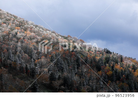 【北海道上富良野町】雪と紅葉 【北海道上富良野町】雪と紅葉 96523956