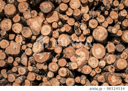 A pile of stacked firewood, prepared for heating the house 96524534