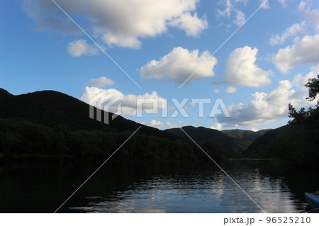 奄美大島のマングローブ原生林 奄美大島のマングローブ原生林 96525210