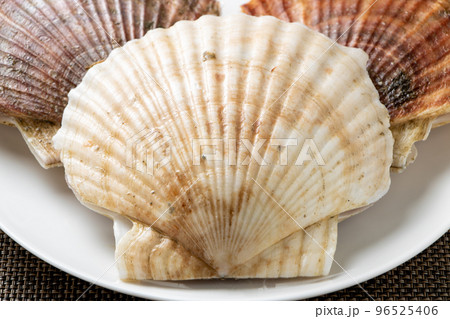 ホタテ(殻付き帆立貝)。 96525406