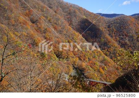 仙人峠の秋 96525800