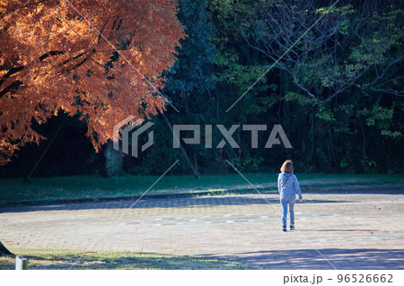 秋の公園で散歩している中年女性の後ろ姿と紅葉の風景 96526662