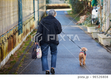 秋の公園の道で犬を連れて散歩しているシニア女性の後ろ姿 96526808