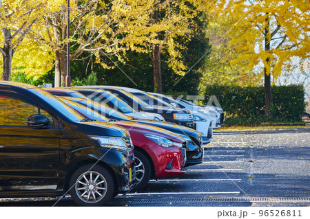 駐車場の車と秋のイチョウの風景 96526811