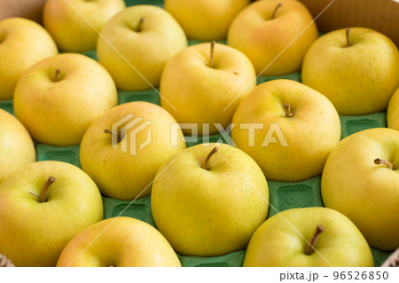 秋の収穫した美味しいりんごの写真 96526850
