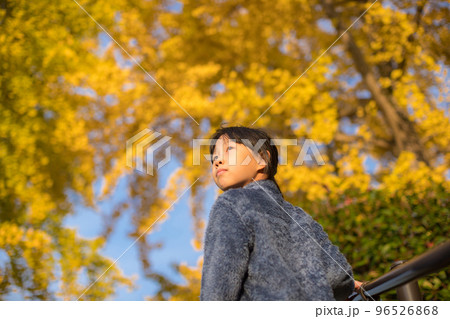 黄色いイチョウの木の風景と遊んでいる子供の姿 96526868
