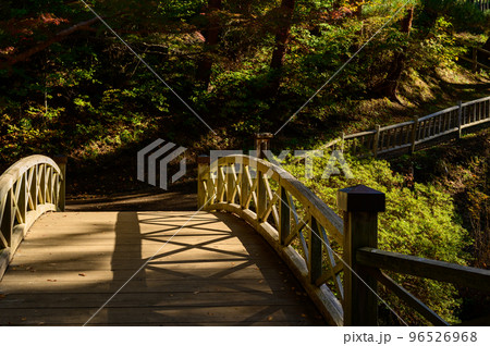 紅葉にかける橋 紅葉にかける橋 96526968