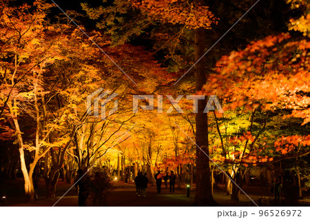 夜の紅葉と散策する人々 96526972