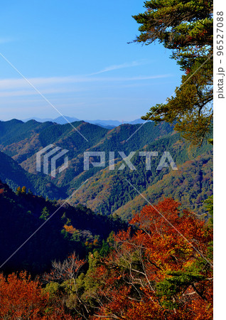高尾山初秋の紅葉の風景 高尾山初秋の紅葉の風景 96527088