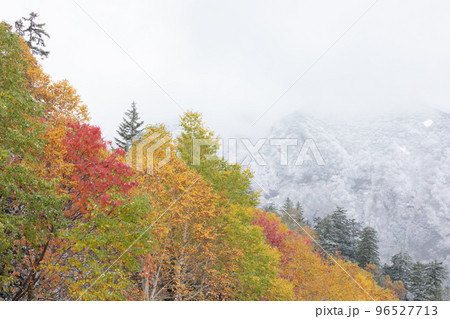 北海道上富良野町】雪と紅葉の写真素材 [96527713] - PIXTA