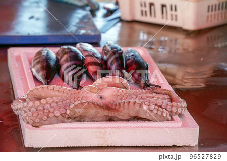octopus at the fish market octopus at the fish market 96527829