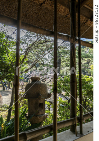 東屋から見た早春の日本庭園 東屋から見た早春の日本庭園 96528122