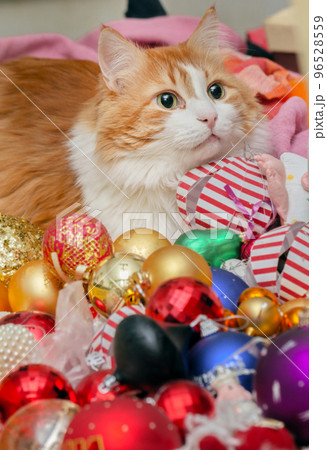 Red-and-white cat and Christmas tree toys 96528559