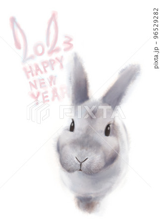 見上げる灰色うさぎの年賀状 2023年 96529282