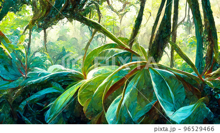 Tropical  Rain forest Landscape Tropical forest Forest illustration 96529466