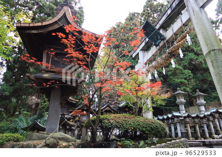 日本のお寺：奈良県生駒市の宝山寺の境内への参道の上り切りと鳥居の日暮れ前の風景 96529533
