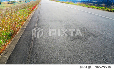 陽射しに光るアスファルト道路（荒川土手） 96529540