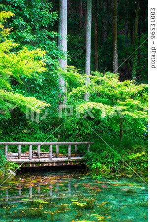 【岐阜県絶景】モネの池 96531003