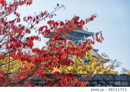 【紅葉】秋の大阪城公園【大阪城天守閣】 96531753