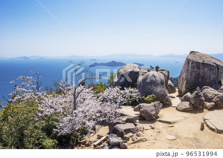 弥山の桜　宮島の満開の桜　宮島の春の風景　広島観光名所　瀬戸内海と桜　2023年G7サミット　 96531994