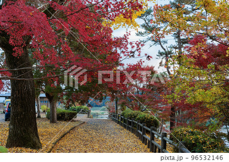 曽木の滝公園の紅葉 曽木の滝公園の紅葉 96532146