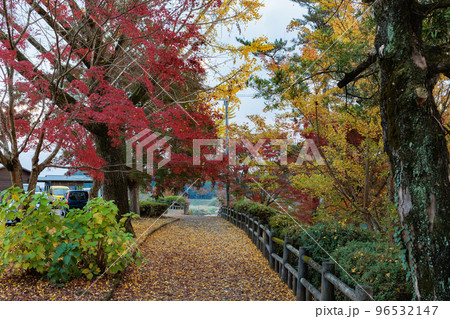 曽木の滝公園の紅葉 96532147