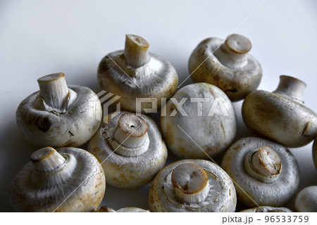 Large fruits of mushroom mushrooms on a white background. Lots of mushrooms in close-up. Large fruits of mushroom mushrooms on a white background. Lots of mushrooms in close-up. 96533759
