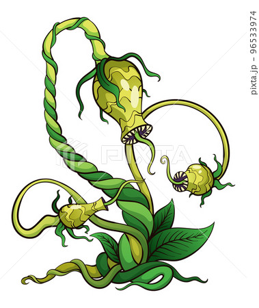 pitcher plant cartoon