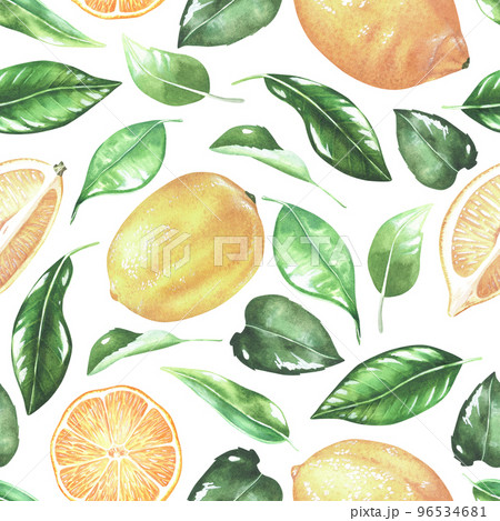 Seamless pattern with lemons and leaves. Whole fruit and cut. Watercolor illustration. Isolated on a white background. For design kitchen accessories, product packaging with citrus acid or scent Seamless pattern with lemons and leaves. Whole fruit and cut. Watercolor illustration. Isolated on a white background. For design kitchen accessories, product packaging with citrus acid or scent 96534681
