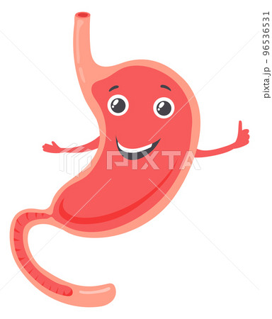Healthy stomach mascot. Happy cartoon human organ Healthy stomach mascot. Happy cartoon human organ 96536531