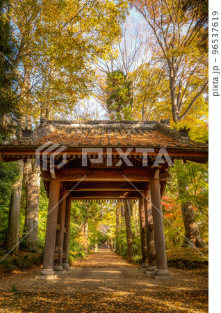 茨城県筑西市　最勝寺の紅葉 96537619
