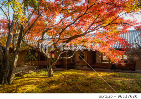 茨城県筑西市 最勝寺の紅葉 茨城県筑西市 最勝寺の紅葉 96537630