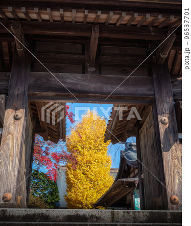 茨城県桜川市　天台宗月山寺の紅葉 96537701