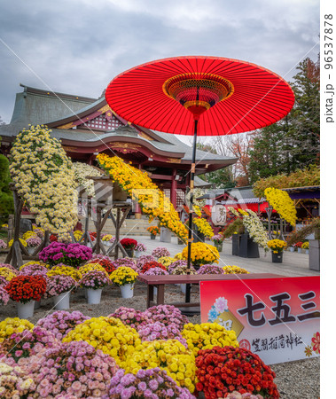 茨城県笠間市　笠間稲荷神社　笠間の菊まつり 96537878