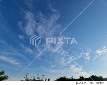 昼 羽毛雲 緑 96538984