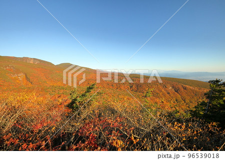 福島県二本松市奥岳温泉 薬師岳パノラマパークからの青空の安達太良山の紅葉 福島県二本松市奥岳温泉 薬師岳パノラマパークからの青空の安達太良山の紅葉 96539018