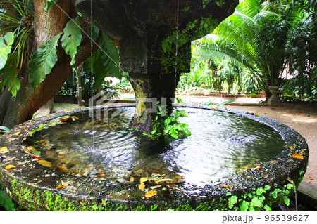 アマゾン地域の公園にある噴水 96539627