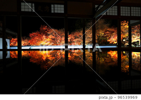 群馬・宝徳寺の夜の床もみじ・その2 群馬・宝徳寺の夜の床もみじ・その2 96539969