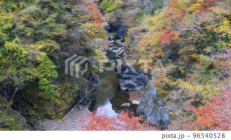 紅葉の名所”金蔵落しの渓流”／埼玉県秩父市【秩父多摩甲斐国立公園】 96540528