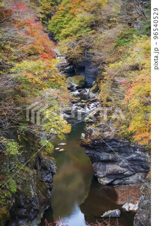 紅葉の名所”金蔵落しの渓流”／埼玉県秩父市【秩父多摩甲斐国立公園】 96540529