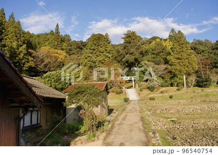 秋の農村風景 96540754