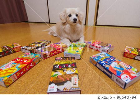 お菓子に囲まれる愛犬 お菓子に囲まれる愛犬 96540794