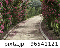 バラ 花 植物 96541121