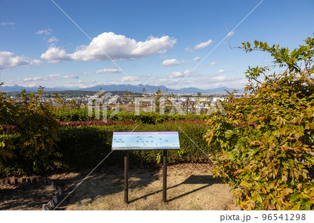 ふじの咲く丘から見る榛名山　群馬県 96541298