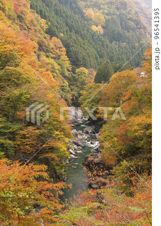 紅葉の荒川の渓谷に金造蔵落しの渓流 紅葉の荒川の渓谷に金造蔵落しの渓流 96541395