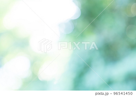 新緑、背景、緑、葉、自然、風景、ぼかし、植物、木漏れ日、新緑イメージ、背景合成用画像素材 新緑、背景、緑、葉、自然、風景、ぼかし、植物、木漏れ日、新緑イメージ、背景合成用画像素材 96541450